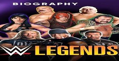 WWE Legends Biography Stone Cold Steve Austins Last Match