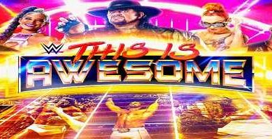 WWE This Is Awesome SE Most Awesome Tag Teams