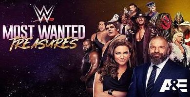 WWEs Most Wanted Treasures TripleH